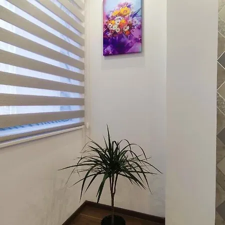 Vivaldi - Centar * Vrnjačka Banja